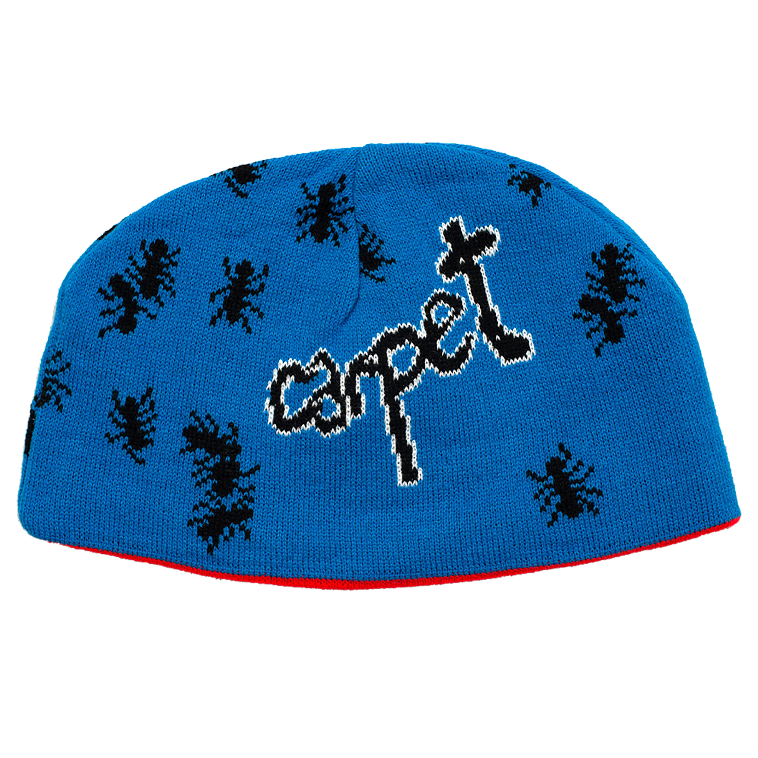 ANT REVERSIBLE BEANIE — Carpet Company